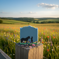 Horse & Girl (v2) Goat Milk Soap