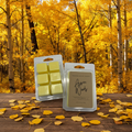 Aspen Woods wax melt clamshell packages displayed in a golden autumn aspen forest with fallen leaves and warm amber sunlight